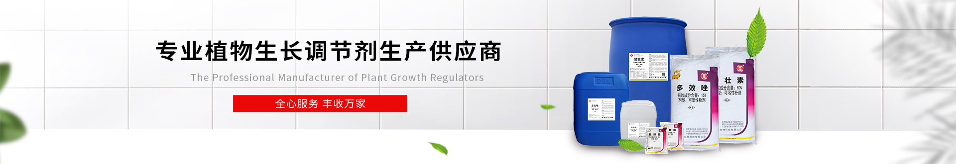 企業(yè)榮譽